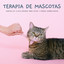 Terapia De Mascotas: Sonidos De Lluvia Serenos Para Gatos Y Perros Somnolientos cover