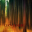 Volfram One cover