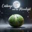 Cabbage and the Moonlight