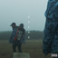 Decoy cover