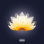 Trials cover