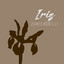 Iris - Acoustic