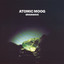 Atomic Moog — Brainwave cover art