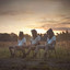 The Sweet Talks - ANJALINA
