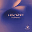 Levitate artwork
