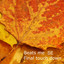 Final Touch Down cover