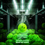 Make Me Happy - Extended