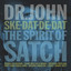 Ske-Dat-De-Dat…The Spirit Of Satch cover