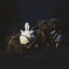 Avempace cover