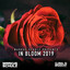 Global DJ Broadcast - In Bloom 2019 cover