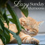 Lazy Sunday Afternoons cover
