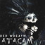 Atacam artwork