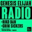 Radio artwork
