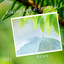 Nature: Relaxing Rain at Springfield Vol. 1 cover