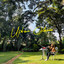 Uptown Chokoraa cover