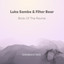 Birds of the Ravine - Luka Sambe Remix