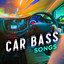 Car Bass cover