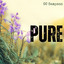 SVRCINA - Pure Average ft. Bridey Drake iXML