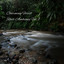 Charming Forest River Ambience Vol. 1 cover