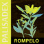 Ronpelo - Extended Mix