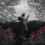 Seek Harbour (feat. Jonny Meaney) - Nevergreen
