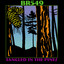 BR5-49 - That's What I Get