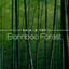 Rain in the Bamboo Forest: Japanese Tranquil Meditation, Zen Mindfulness, Asian Rain Sounds cover