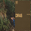 diras