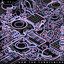 TRU TONES - Vini Dodou
