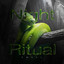 Night Ritual artwork