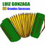 60 Grandes Sucessos (Remastered) cover