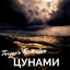Цунами cover