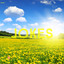 Jokes cover