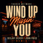 Dee Jay Silver — Wind Up Missin You cover art