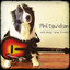 Shelter cover