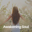 Awakening Soul cover