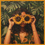 Peqasus - Sunflower