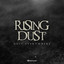 Dust Everywhere cover
