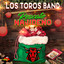 Los Toros Band - Popurrí Navideño (1997) (320 kbps)