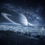 TRANSITIONS 24 - 01 by on KUNV