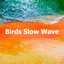 Birds Slow Wave cover