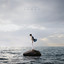 Isole (DI4RI Soundtrack) - Tancredi