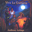 Viva La Guitarra cover