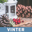 Vinter cover