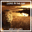 Lions in The Sun cover