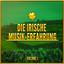 Die Irische Musik-Erfahrung, Vol. 1 (Eine Auswahl traditioneller Musik aus Irland) cover