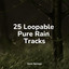 25 Loopable Pure Rain Tracks cover