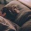 Relaxing Sounds for Sleep cover
