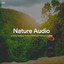 #01 Nature Audio for Relaxing Sleep, Insomnia Relief and Feeling Energized cover