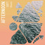 Afternoon Soft Waves cover